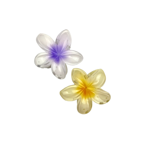 Ganchos de Flores Hawaianas